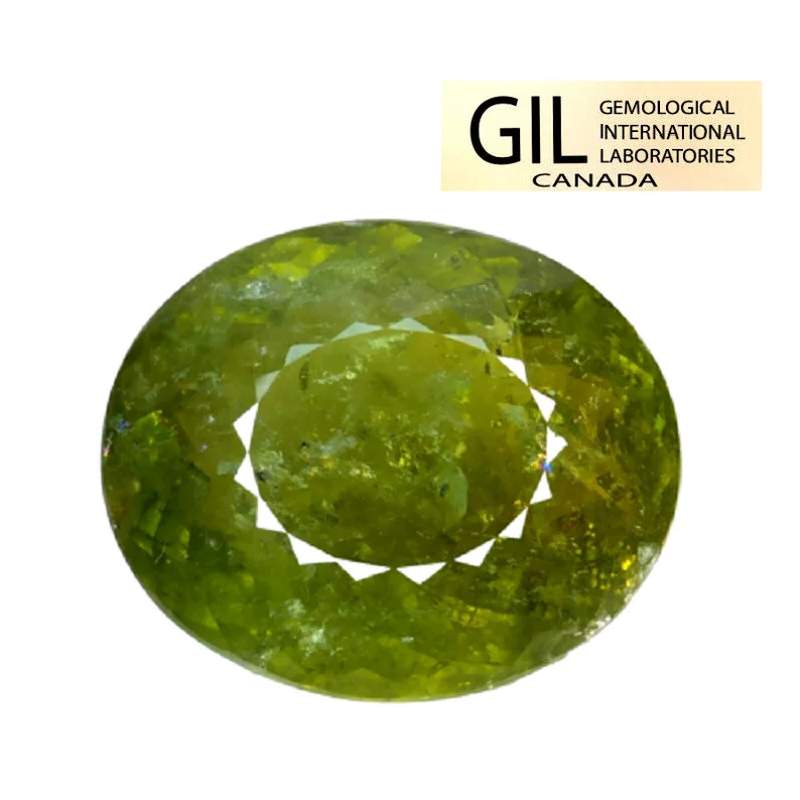 39.11cts  GIL certified green natural paraiba tourmaline oval cut loose gemstones "see video"